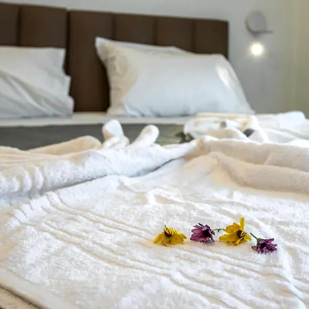 Creta Mare Hotel 2* Plakias